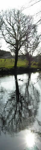 Reflection on the River Dart at Staverton, Devon, April 2009