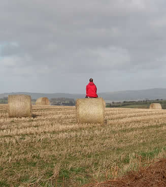 Shropshire haystack, March 2009